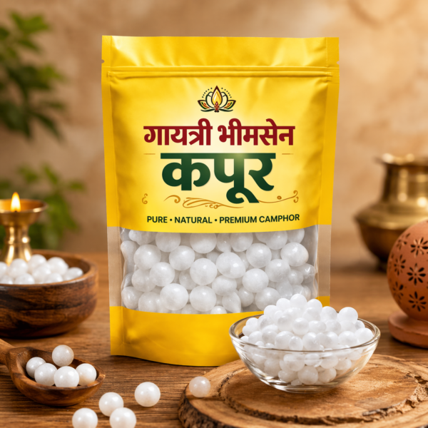 Gayatri Bhimshen Capoor